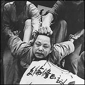 Revculturalchina28