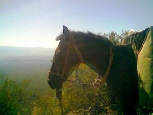Imagen019 con otro efecto