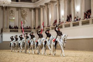 Cavalos-1024x682