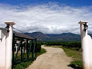 180px-Argentine_vineyard_and_mountains.