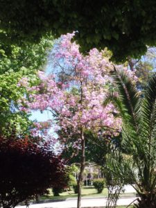 el-talar-iii-lap-rosas-bordo-qda-016