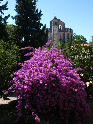 Image3.jpg