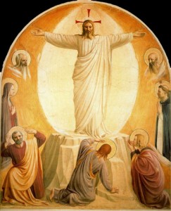 transfiguracion