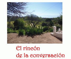 028-el-rincon-de-la-conversacion-lirios